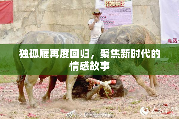 独孤雁再度回归，聚焦新时代的情感故事