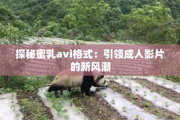 探秘蜜乳avi格式：引领成人影片的新风潮