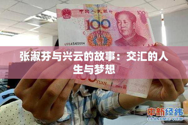张淑芬与兴云的故事：交汇的人生与梦想
