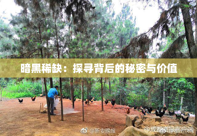 暗黑稀缺：探寻背后的秘密与价值