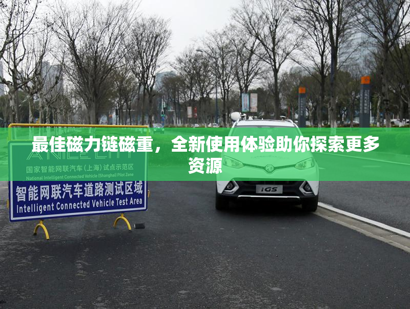 最佳磁力链磁重，全新使用体验助你探索更多资源