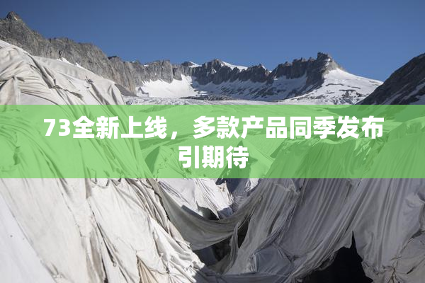 73全新上线，多款产品同季发布引期待