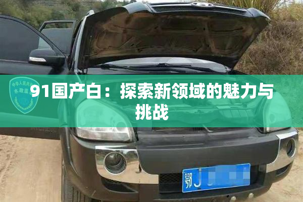 91国产白：探索新领域的魅力与挑战