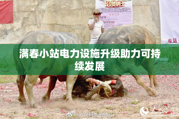 满春小站电力设施升级助力可持续发展
