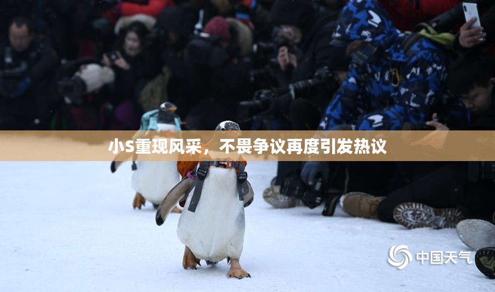 小S重现风采，不畏争议再度引发热议