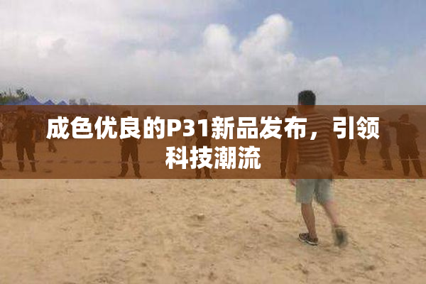 成色优良的P31新品发布，引领科技潮流