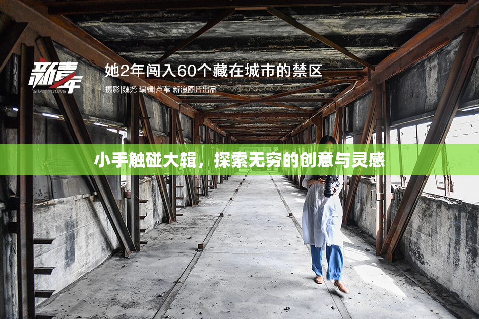 小手触碰大辑，探索无穷的创意与灵感