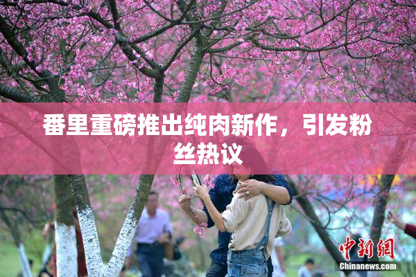 番里重磅推出纯肉新作，引发粉丝热议