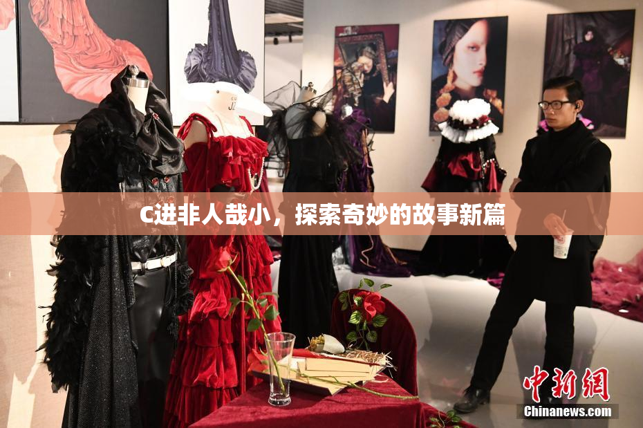 C进非人哉小，探索奇妙的故事新篇