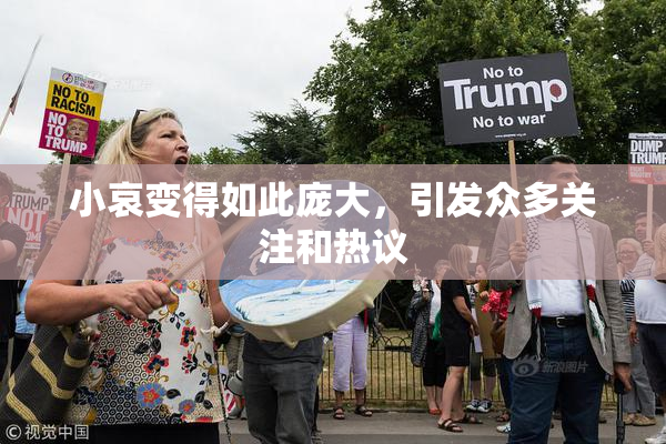 小哀变得如此庞大，引发众多关注和热议