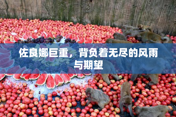 佐良娜巨重，背负着无尽的风雨与期望