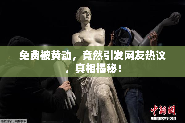免费被黄动，竟然引发网友热议，真相揭秘！
