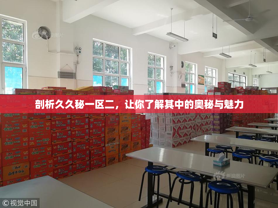 剖析久久秘一区二，让你了解其中的奥秘与魅力