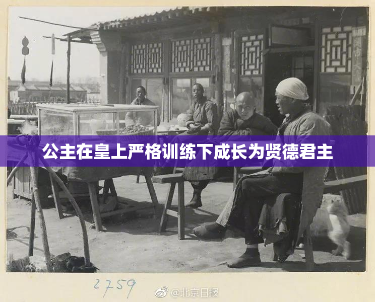 公主在皇上严格训练下成长为贤德君主