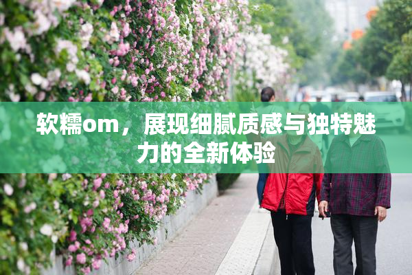 软糯om，展现细腻质感与独特魅力的全新体验