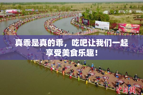 真乖是真的乖，吃吧让我们一起享受美食乐趣！
