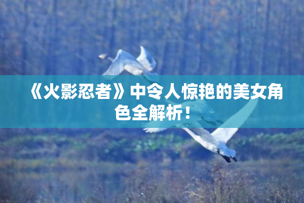 《火影忍者》中令人惊艳的美女角色全解析！