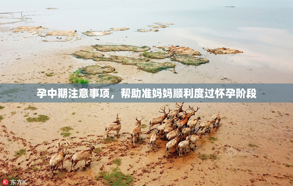 孕中期注意事项，帮助准妈妈顺利度过怀孕阶段