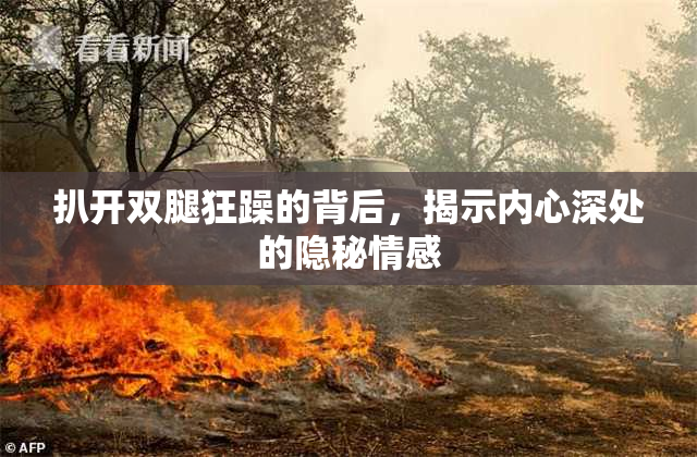 扒开双腿狂躁的背后，揭示内心深处的隐秘情感