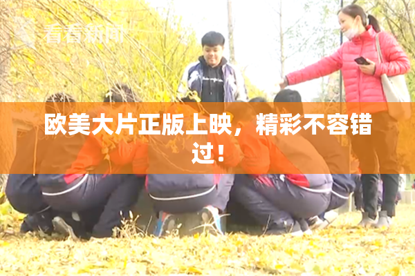 欧美大片正版上映，精彩不容错过！