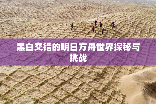 黑白交错的明日方舟世界探秘与挑战
