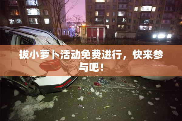 拔小萝卜活动免费进行，快来参与吧！