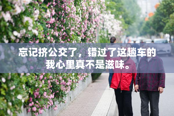 忘记挤公交了，错过了这趟车的我心里真不是滋味。