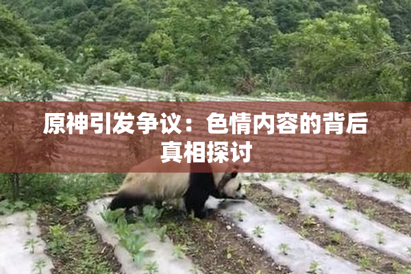 原神引发争议：色情内容的背后真相探讨