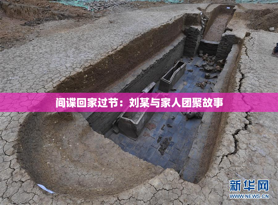 间谍回家过节：刘某与家人团聚故事