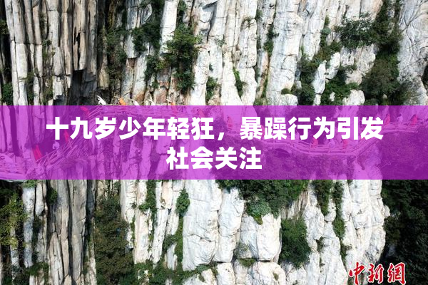 十九岁少年轻狂，暴躁行为引发社会关注