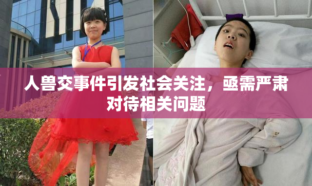 人兽交事件引发社会关注，亟需严肃对待相关问题