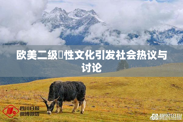 欧美二级婬性文化引发社会热议与讨论