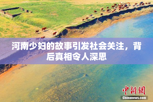 河南少妇的故事引发社会关注，背后真相令人深思