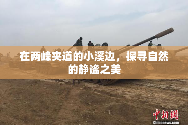 在两峰夹道的小溪边，探寻自然的静谧之美