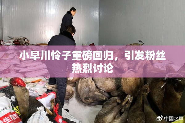 小早川怜子重磅回归，引发粉丝热烈讨论