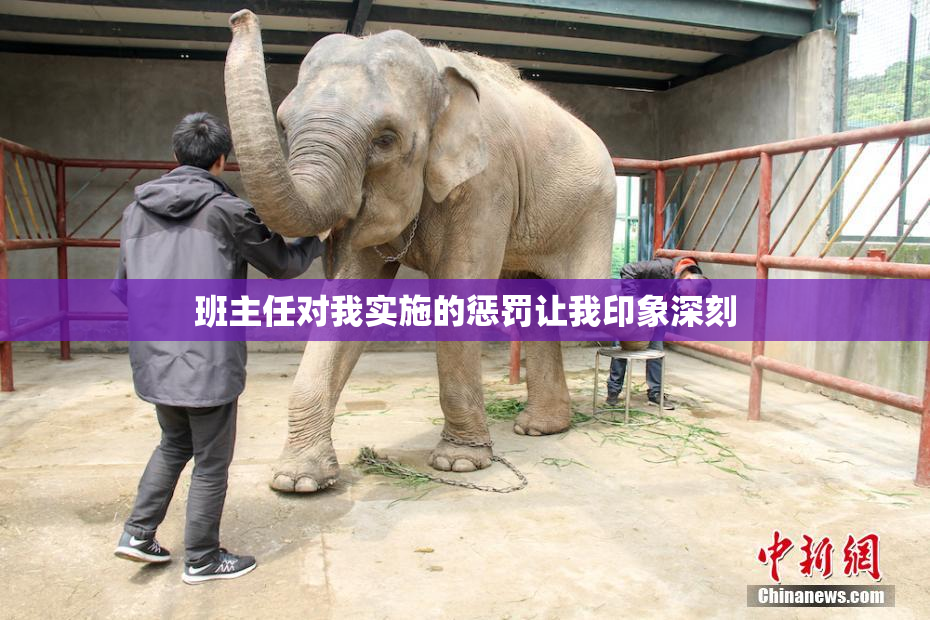 班主任对我实施的惩罚让我印象深刻