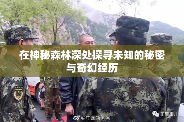 在神秘森林深处探寻未知的秘密与奇幻经历