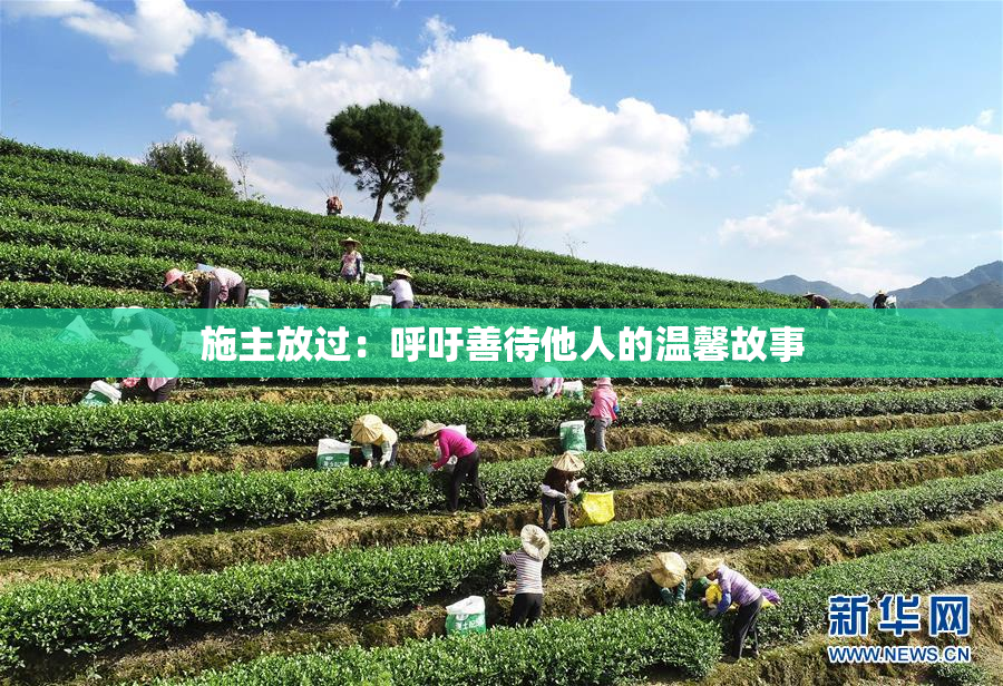 施主放过：呼吁善待他人的温馨故事