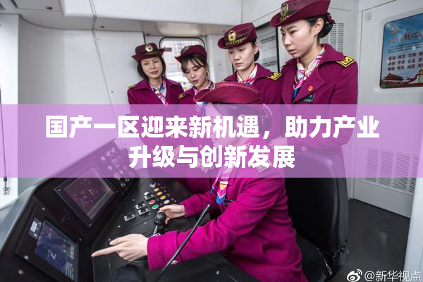 国产一区迎来新机遇，助力产业升级与创新发展