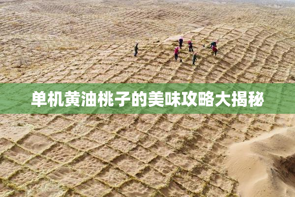 单机黄油桃子的美味攻略大揭秘