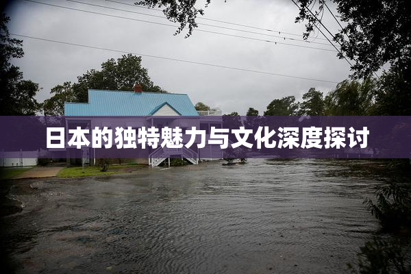 日本的独特魅力与文化深度探讨