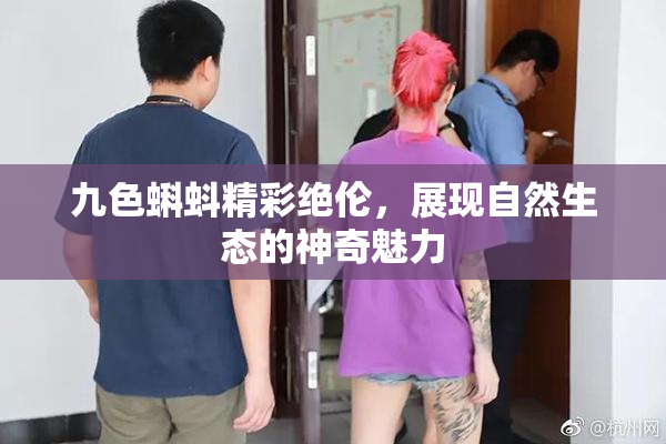 九色蝌蚪精彩绝伦，展现自然生态的神奇魅力