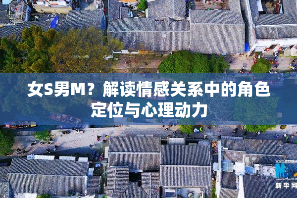 女S男M？解读情感关系中的角色定位与心理动力