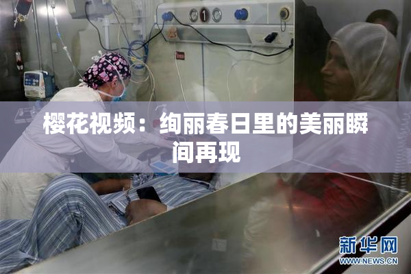樱花视频：绚丽春日里的美丽瞬间再现