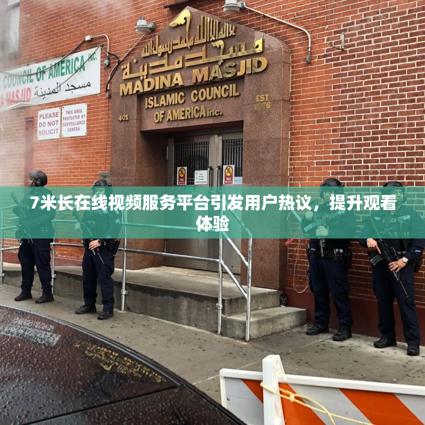 7米长在线视频服务平台引发用户热议，提升观看体验