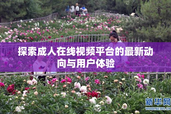 探索成人在线视频平台的最新动向与用户体验