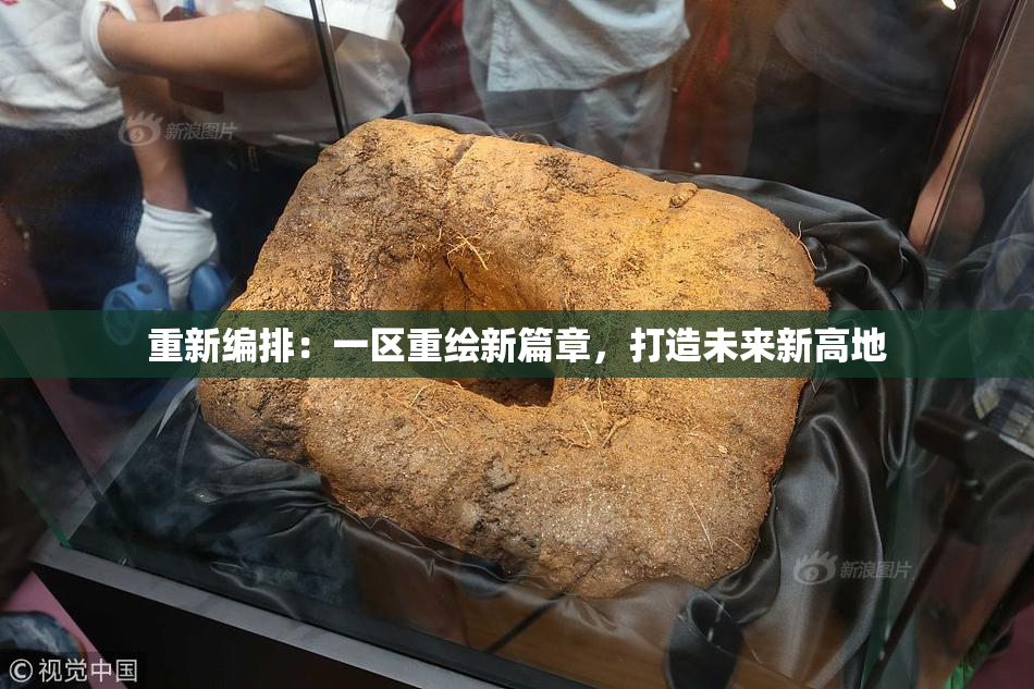 重新编排：一区重绘新篇章，打造未来新高地