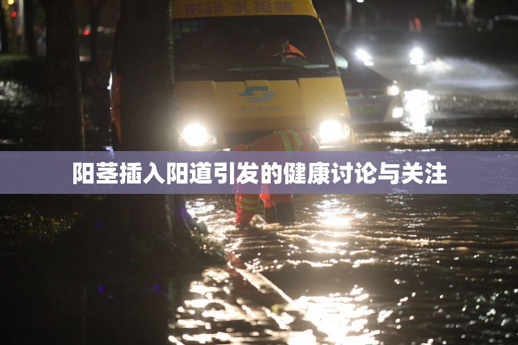 阳茎插入阳道引发的健康讨论与关注