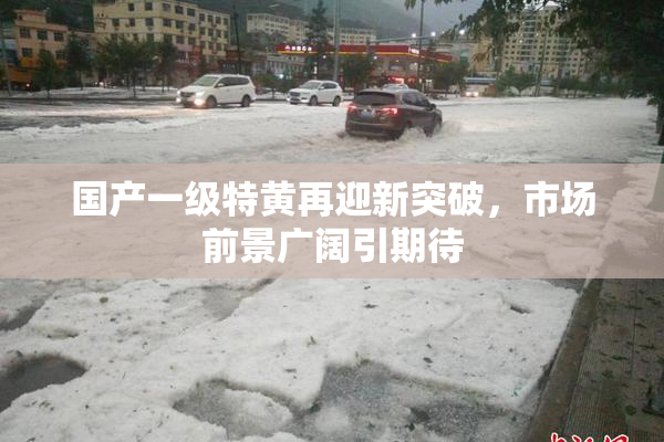 国产一级特黄再迎新突破，市场前景广阔引期待