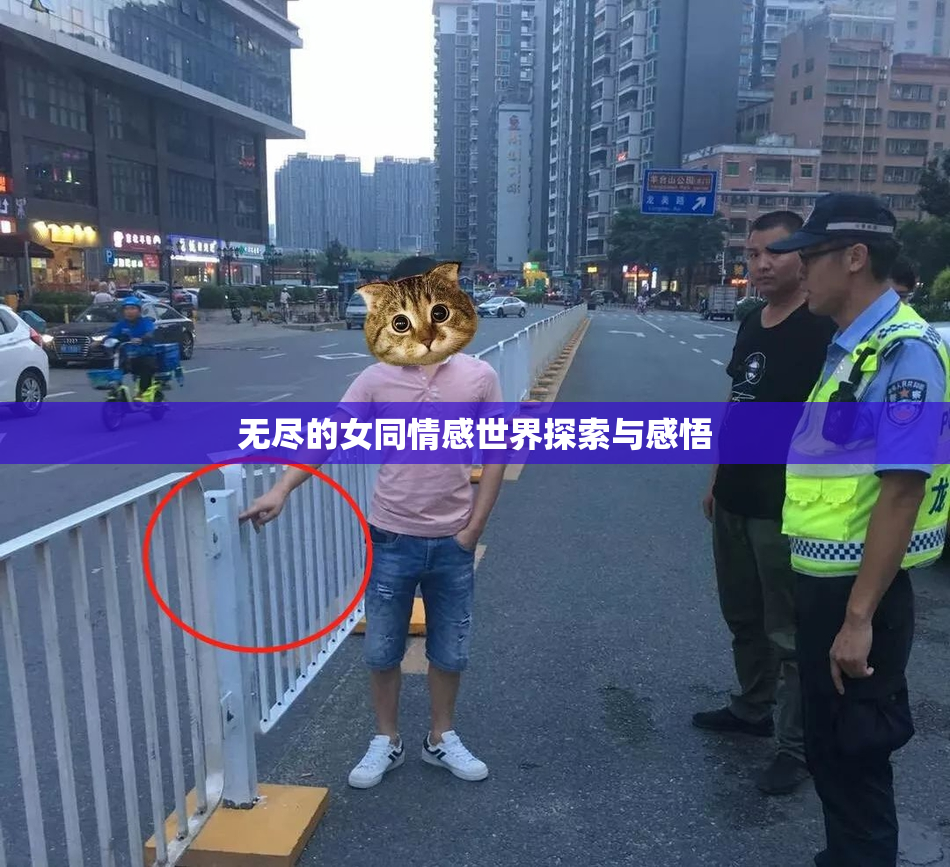 无尽的女同情感世界探索与感悟